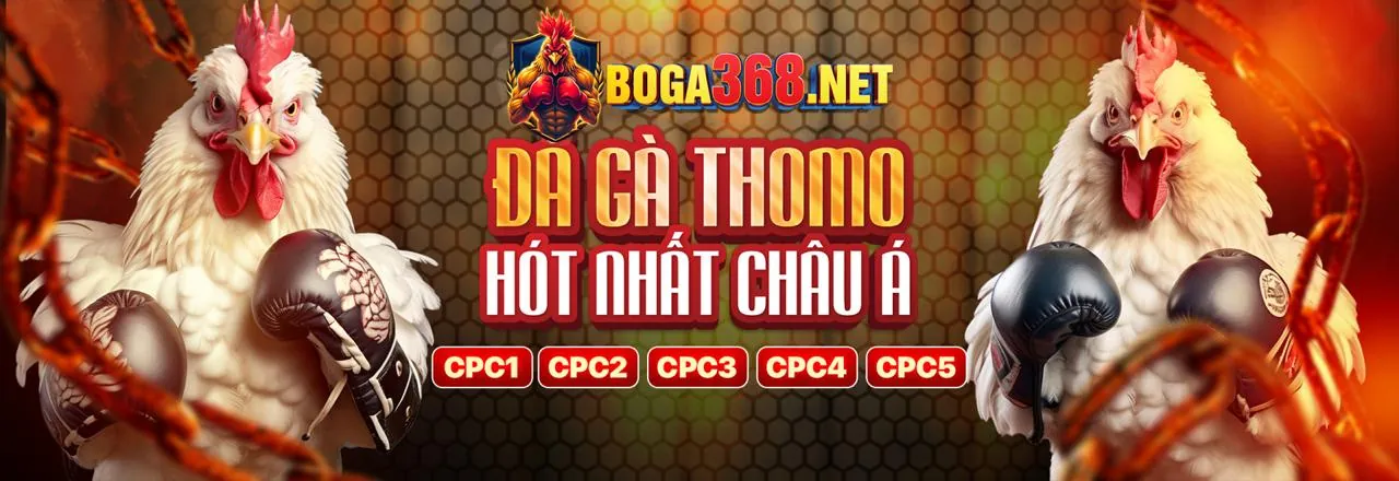 Banner khuyến mãi AB77